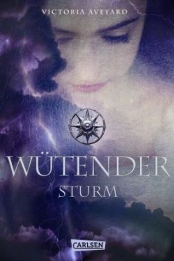 Wütender Sturm (Die Farben des Blutes 4)