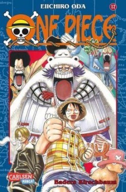 One Piece 17