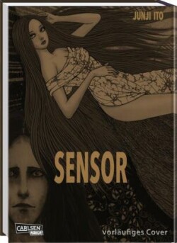 Sensor