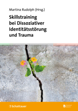 Skillstraining bei Dissoziativer Identitätsstörung und Trauma