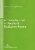 Accountability Issues in International Development Projects