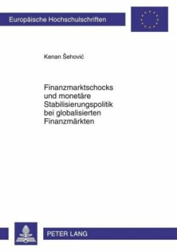 Finanzmarktschocks Und Monetaere Stabilisierungspolitik Bei Globalisierten Finanzmaerkten