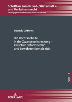 Rechtsbehelfe in Der Zwangsvollstreckung - Zwischen Reformbedarf Und Bewaehrter Komplexitaet