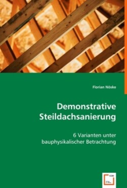 Demonstrative Steildachsanierung