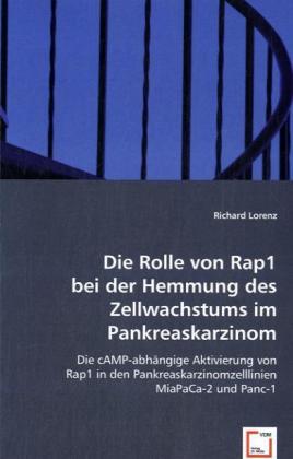 Die Rolle von Rap1 bei der Hemmung des Zellwachstums im Pankreaskarzinom.