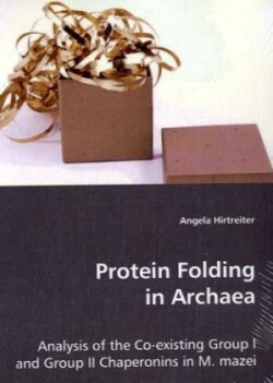 Protein Folding in Archaea