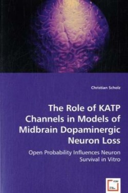 Role of KATP Channels in Models of Midbrain Dopaminergic Neuron Loss