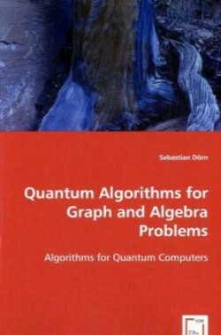 Quantum Algorithms for Graph and Algebra Problems