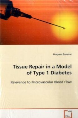 Tissue Repair in a Model of Type 1 Diabetes