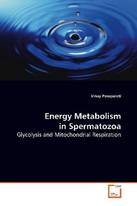 Energy Metabolism in Spermatozoa