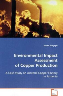 Environmental Impact Assessment of Copper Production