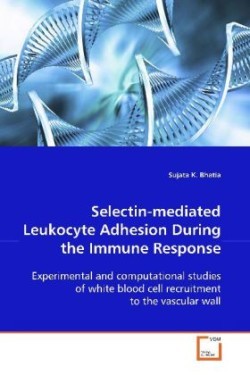 Selectin-mediated Leukocyte Adhesion During the Immune Response