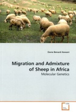 Migration and Admixture of Sheep in Africa