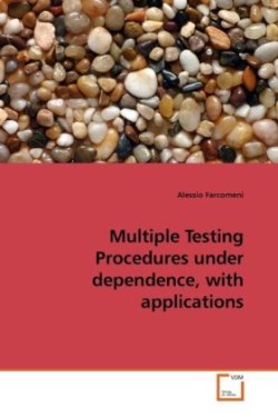 Multiple Testing Procedures under dependence, with applications