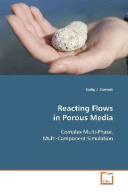 Reacting Flows in Porous Media
