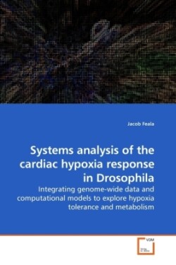 Systems analysis of the cardiac hypoxia response in Drosophila