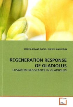 Regeneration Response of Gladiolus