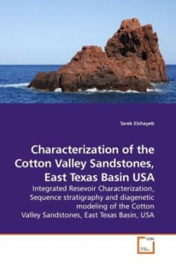 Characterization of the Cotton Valley Sandstones, East Texas Basin USA