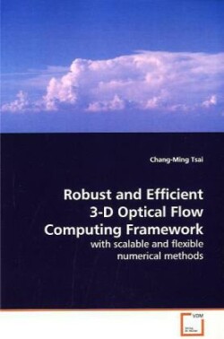 Robust and Efficient 3-D Optical Flow Computing Framework