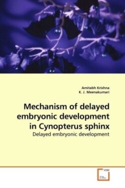 Mechanism of delayed embryonic development in Cynopterus sphinx