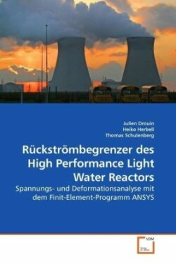 Rückströmbegrenzer des High Performance Light Water Reactors