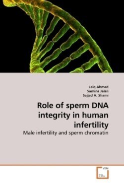 Role of sperm DNA integrity in human infertility