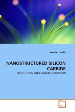 Nanostructured Silicon Carbide