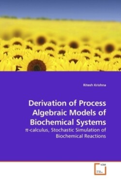 Derivation of Process Algebraic Models of Biochemical Systems