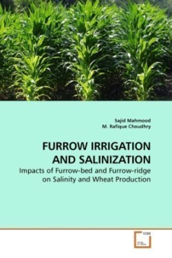 Furrow Irrigation and Salinization