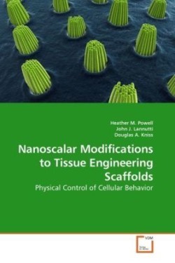 Nanoscalar Modifications to Tissue Engineering Scaffolds