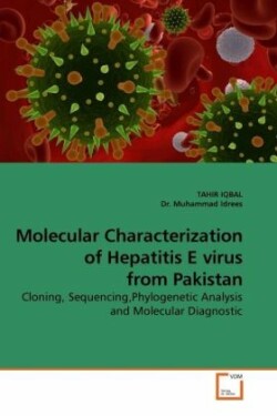 Molecular Characterization of Hepatitis E virus from Pakistan