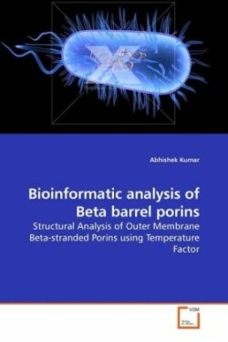 Bioinformatic analysis of Beta barrel porins