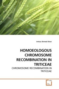 Homoeologous Chromosome Recombination in Triticeae