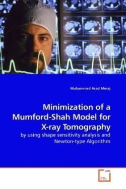 Minimization of a Mumford-Shah Model for X-ray Tomography
