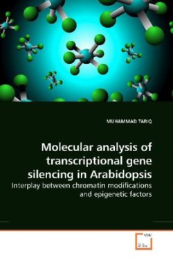 Molecular analysis of transcriptional gene silencing in Arabidopsis