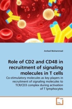 Role of CD2 and CD48 in recruitment of signaling molecules in T cells