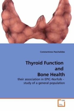 Thyroid Function and Bone Health