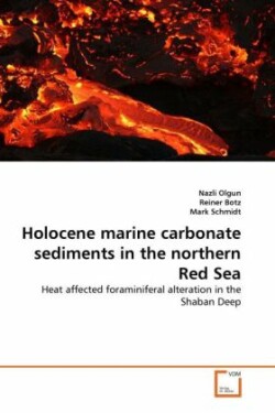 Holocene marine carbonate sediments in the northern Red Sea