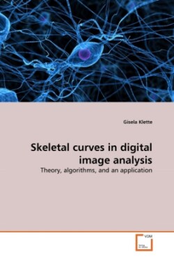 Skeletal curves in digital image analysis
