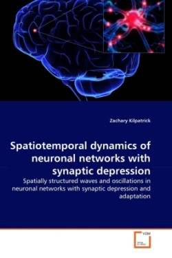 Spatiotemporal dynamics of neuronal networks with synaptic depression