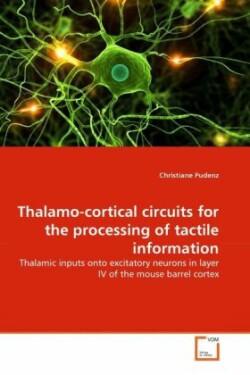 Thalamo-cortical circuits for the processing of tactile information