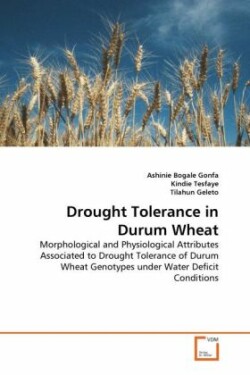 Drought Tolerance in Durum Wheat