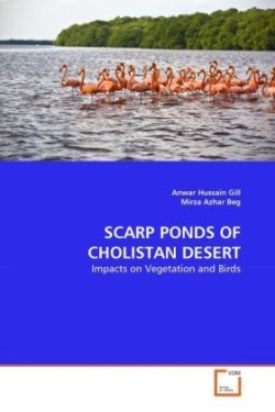 Scarp Ponds of Cholistan Desert