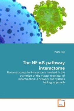 NF-κB pathway interactome