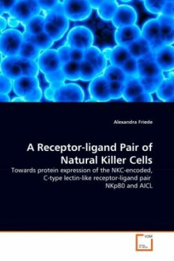 Receptor-ligand Pair of Natural Killer Cells