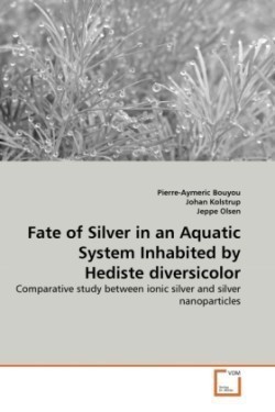 Fate of Silver in an Aquatic System Inhabited by Hediste diversicolor
