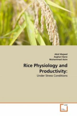 Rice Physiology and Productivity