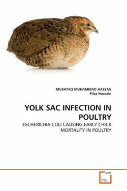 Yolk Sac Infection in Poultry