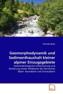 Geomorphodynamik und Sedimenthaushalt kleiner alpiner Einzugsgebiete