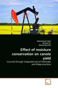 Effect of moisture conservation on canola yield